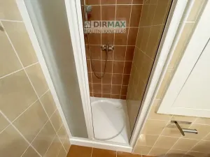 Pronájem bytu 1+kk, Plzeň - Jižní Předměstí, Goldscheiderova, 39 m2