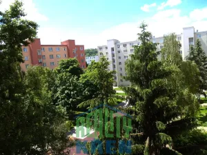 Prodej bytu 2+1, Praha - Vokovice, Evropská, 53 m2