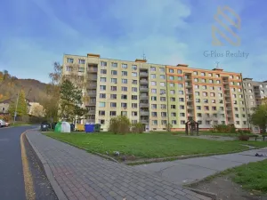 Prodej bytu 2+1, Ústí nad Labem - Mojžíř, Jindřicha Plachty, 57 m2