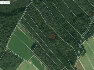 Prodej lesa, Zábřezí-Řečice, 18846 m2