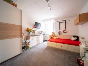 Prodej činžovního domu, Libina, 863 m2