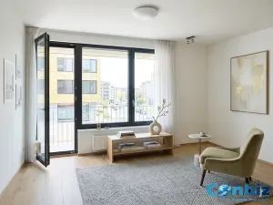 Prodej bytu 2+kk, Praha - Vysočany, Sousedíkova, 50 m2