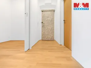 Pronájem bytu 1+1, Plzeň - Východní Předměstí, Koterovská, 37 m2