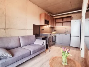 Pronájem bytu 1+kk, Brno, V rejích, 20 m2