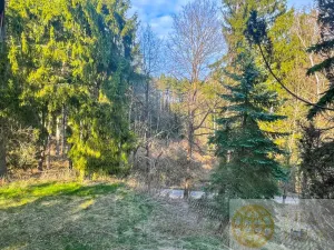 Prodej chaty, Dobronice u Bechyně, 80 m2