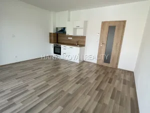 Pronájem bytu 1+kk, České Budějovice, 33 m2