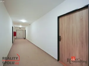 Pronájem bytu 2+kk, Mlékojedy, 50 m2