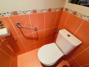 Pronájem bytu 3+1, Most, M. G. Dobnera, 63 m2