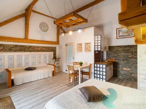 Prodej apartmánu, Malšín - Ostrov, 350 m2