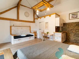 Prodej apartmánu, Malšín - Ostrov, 350 m2