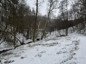 Prodej lesa, Chotiměř, 26763 m2