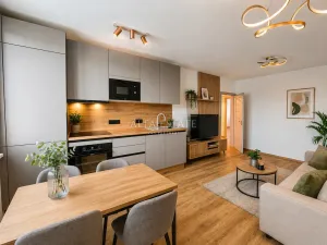Prodej bytu 3+kk, Karlovy Vary - Drahovice, Východní, 61 m2