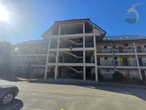 Pronájem bytu 1+kk, Štěnovice, Skalní, 40 m2