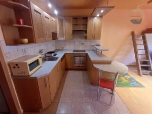 Pronájem bytu 1+kk, Štěnovice, Skalní, 40 m2