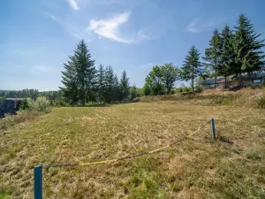 Prodej pozemku pro bydlení, Zábřeh - Dolní Bušínov, 829 m2