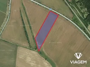 Prodej pole, Moravské Knínice, 18234 m2