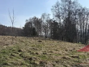 Prodej chalupy, Stachy - Úbislav, 150 m2