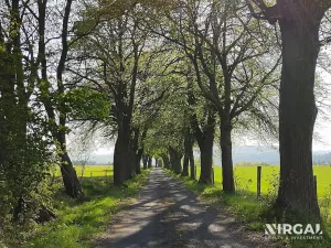 Prodej rodinného domu, Otročín, 260 m2
