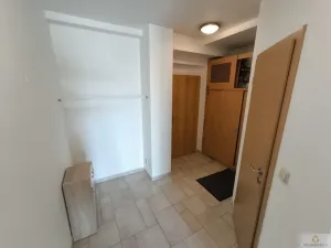 Pronájem bytu 4+kk, Olomouc - Nová Ulice, Okružní, 96 m2