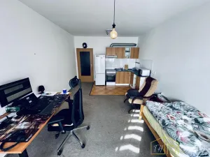 Prodej bytu 1+kk, Ústí nad Labem - Bukov, Baráčnická, 33 m2