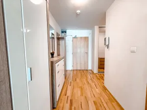 Pronájem bytu 1+kk, Praha - Žižkov, Ke kapslovně, 53 m2