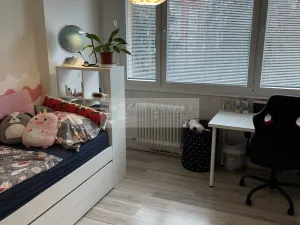 Prodej bytu 3+1, Mladá Boleslav, U stadionu, 86 m2