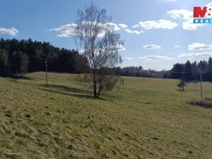 Prodej louky, Janův Důl, 2749 m2