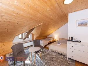 Prodej rodinného domu, Dolní Morava, 679 m2