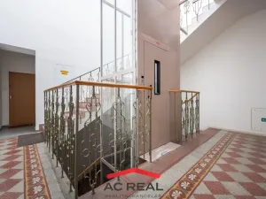 Pronájem bytu 2+1, Brno, Čápkova, 73 m2