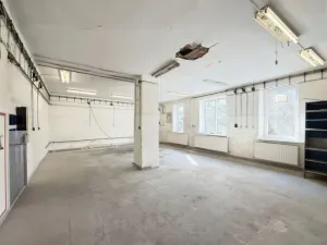 Pronájem obchodního prostoru, Olomouc - Řepčín, Řepčínská, 134 m2