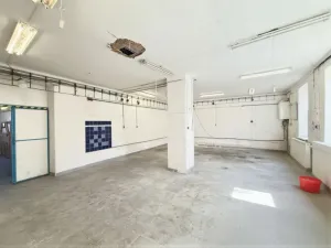 Pronájem obchodního prostoru, Olomouc - Řepčín, Řepčínská, 134 m2