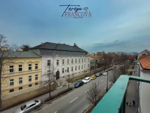 Pronájem bytu 2+1, Prostějov, Svatoplukova, 61 m2
