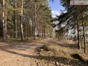 Prodej lesa, Nebahovy - Jelemek, 11340 m2