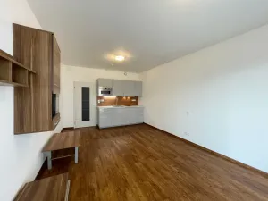 Pronájem bytu 1+kk, Olomouc - Nové Sady, Rokycanova, 35 m2