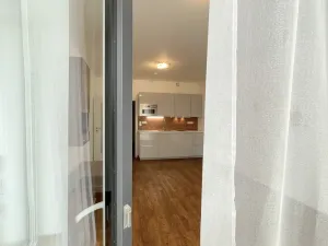 Pronájem bytu 1+kk, Olomouc - Nové Sady, Rokycanova, 35 m2