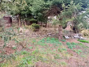 Prodej rodinného domu, Náchod, Neumannova, 110 m2