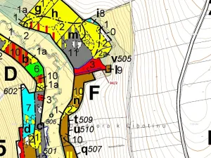 Dražba lesa, Žižkovo Pole, 909 m2