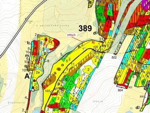 Dražba lesa, Strmilov, 3866 m2