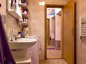 Prodej bytu 1+kk, Praha - Libeň, Na žertvách, 31 m2