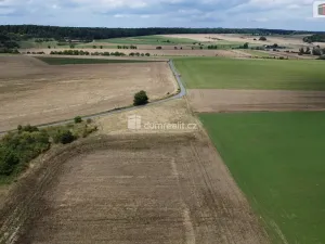 Prodej pozemku, Sýkořice, 3943 m2
