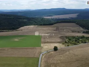 Prodej pozemku, Sýkořice, 3943 m2