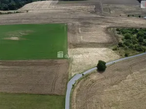 Prodej pozemku, Sýkořice, 3943 m2