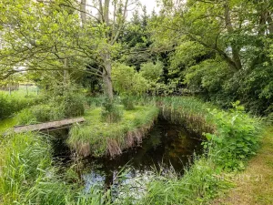 Prodej rodinného domu, Podbořany, 125 m2