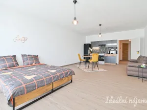 Pronájem bytu 1+kk, Brno, Faměrovo náměstí, 49 m2