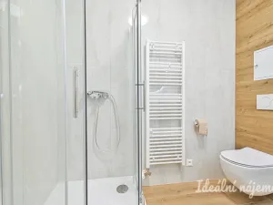 Pronájem bytu 1+kk, Brno, Faměrovo náměstí, 49 m2