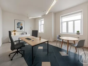 Pronájem kanceláře, Ostrava - Přívoz, Libušina, 22 m2