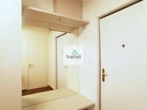 Pronájem bytu 1+kk, Praha - Košíře, Česká, 43 m2