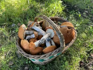 Prodej chaty, Klokočov, 120 m2