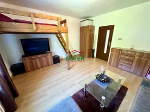 Prodej bytu 1+1, Jáchymov, Fibichova, 43 m2