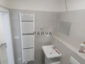 Pronájem bytu 1+kk, Plzeň - Jižní Předměstí, Inženýrská, 47 m2